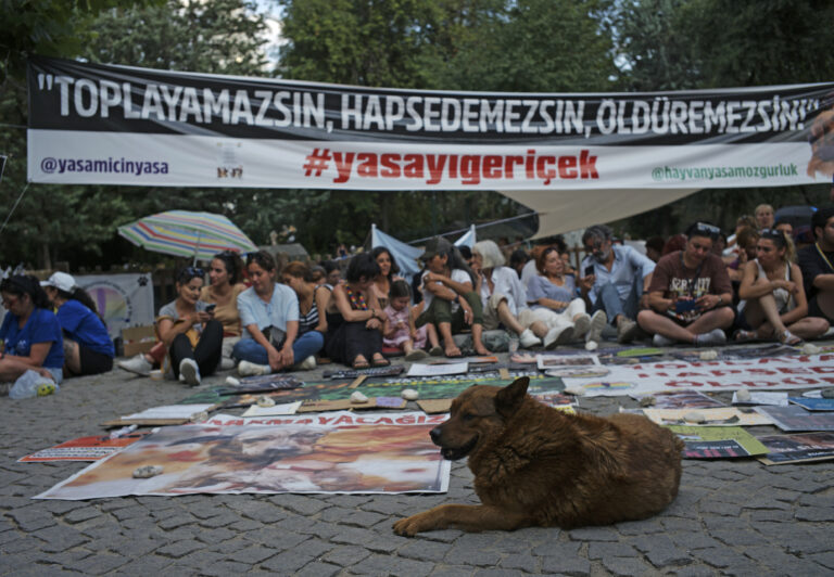 Na protestoch proti zákonu o túlavých psoch v Turecku došlo k zrážkam s políciou