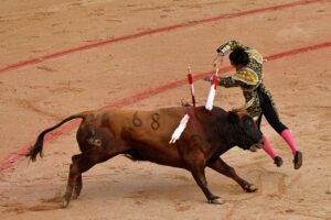 Býk usmrtil bývalého toreadora v meste Málaga