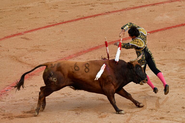 Rozšíril sa zoznam krajín, kde zakázali býčie zápasy. Ich podporovatelia sa však búria