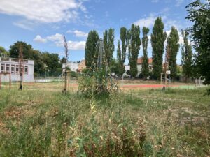 Výmena názorov pre zanedbaný školský areál. Aufrichtová kritizuje starostu Starého Mesta