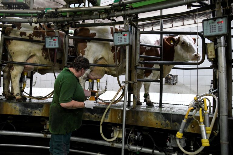 Opatrenia proti slintačke a krívačke zmierňujú v piatich krajoch, otvoria niektoré zoo