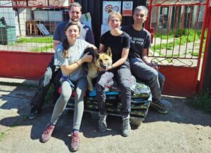 Vo fiľakovskom útulku ročne zachránia 500 psov. Presahuje to však ich kapacity