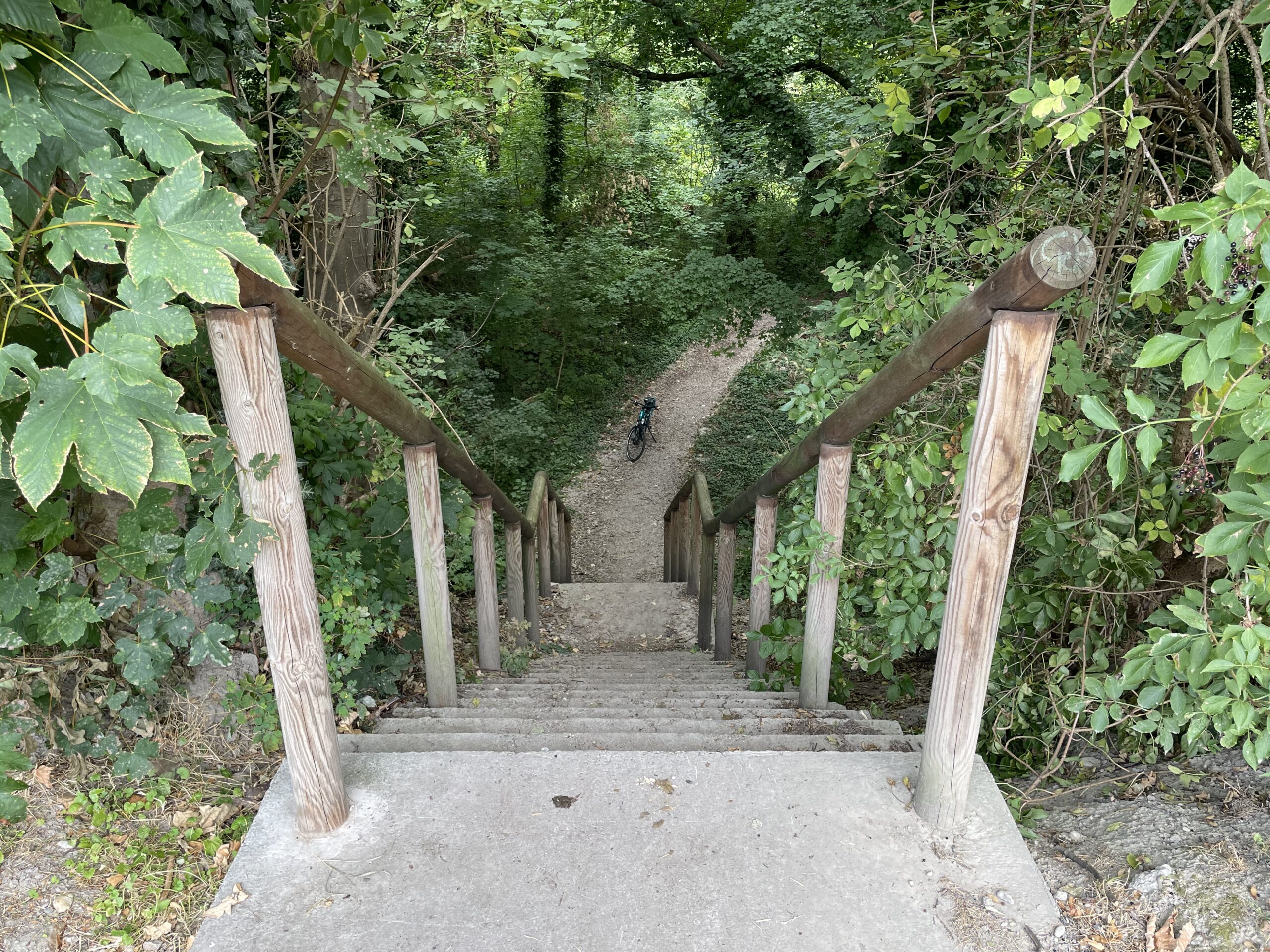 Cesta do Rusovského lesoparku