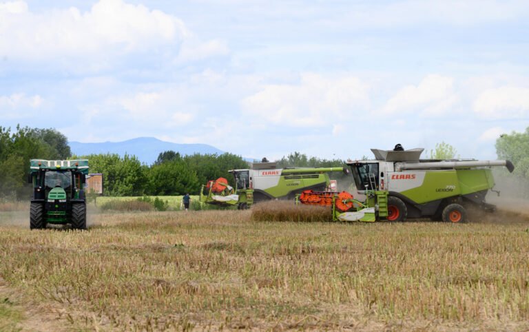 Vláda: Ukrajinské členstvo v EÚ ohrozí domácich producentov potravín