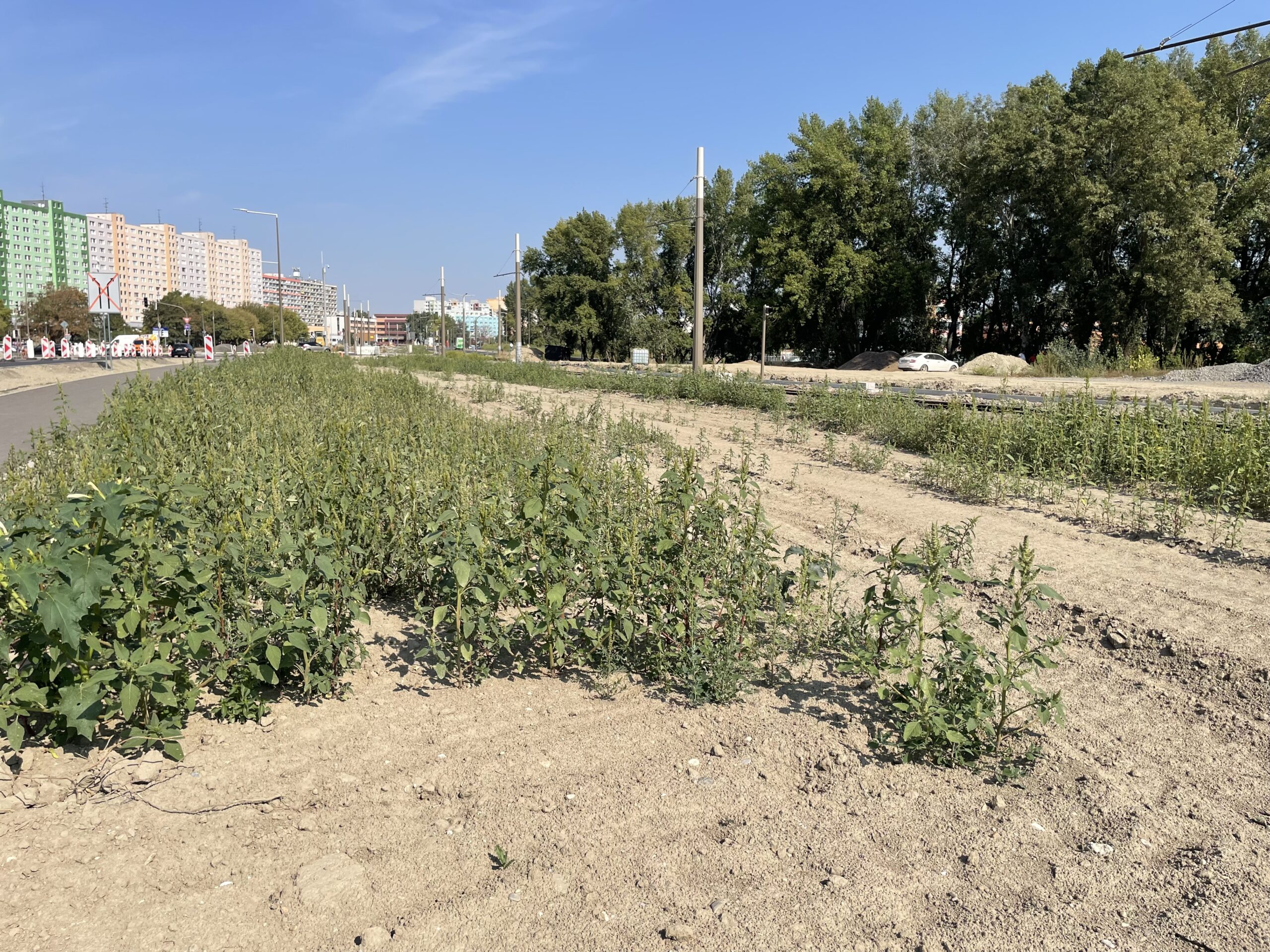 stavba električkovej trate v petržalke