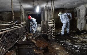 Zemplín trpí najväčším znečistením PCB na svete. Odborník vidí nádej na zlepšenie