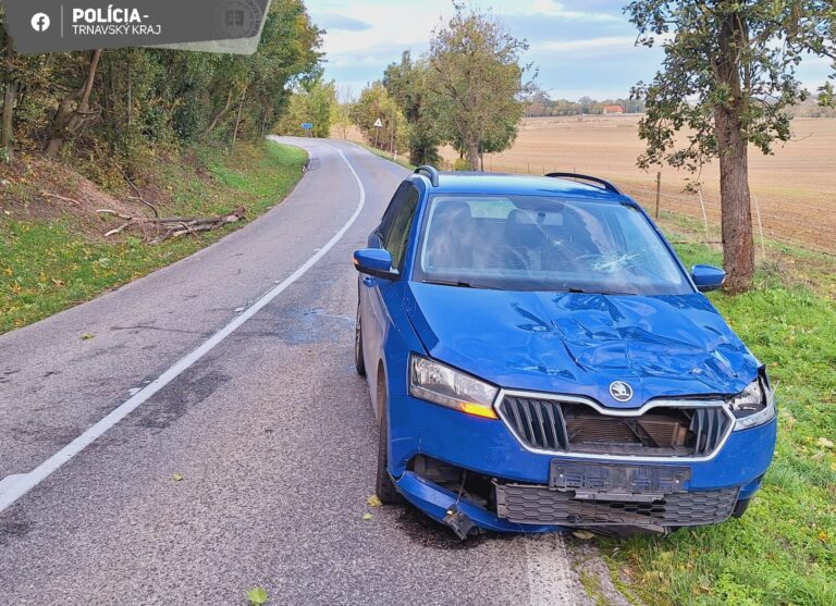 Na Záhorí sa na idúce auto zvalil strom