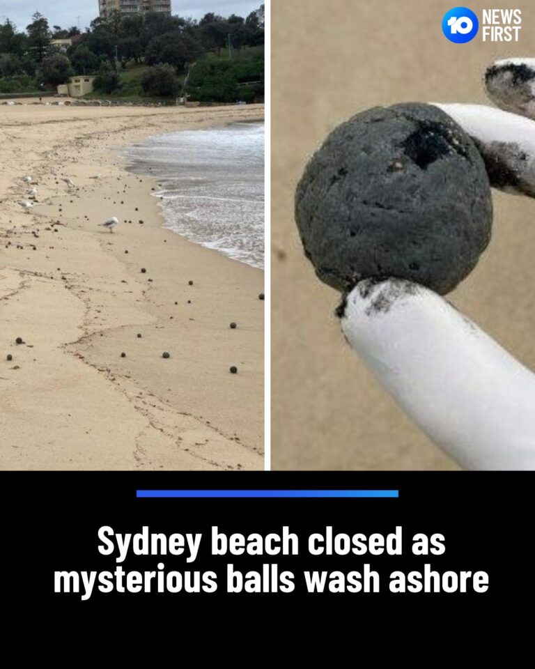 Na pláži v austrálskom Sydney sa objavili neznáme čierne gule