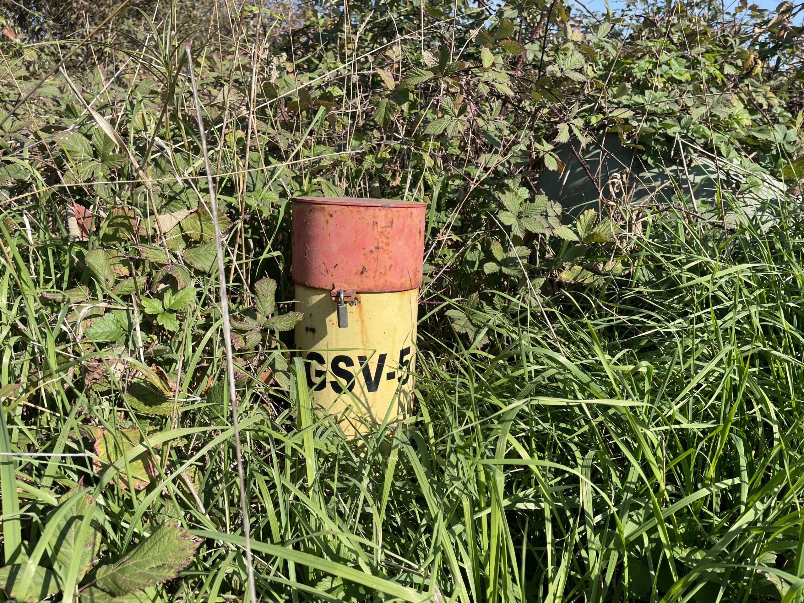 skládka vrakuňa CHZJD