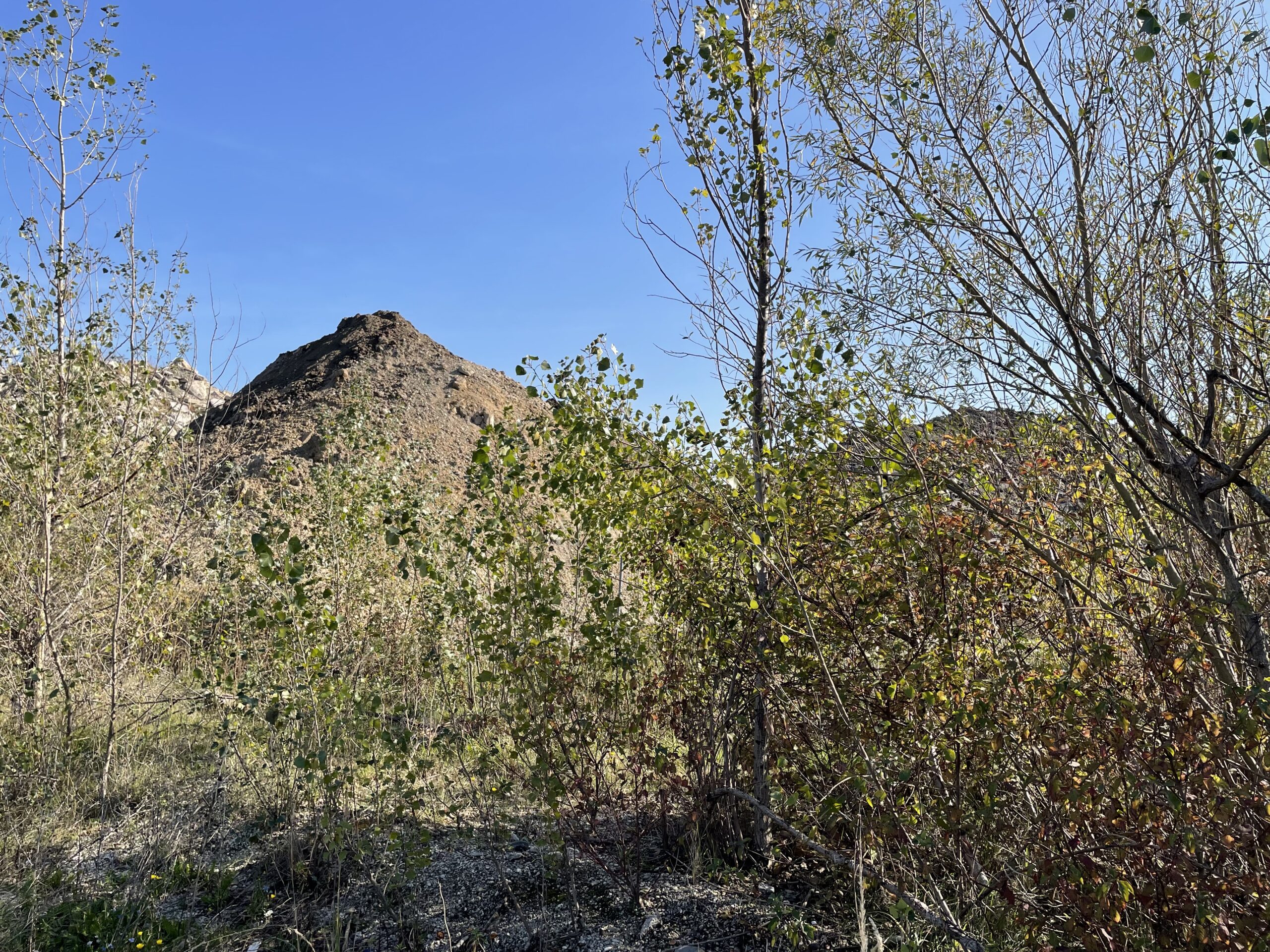 skládka vrakuňa CHZJD