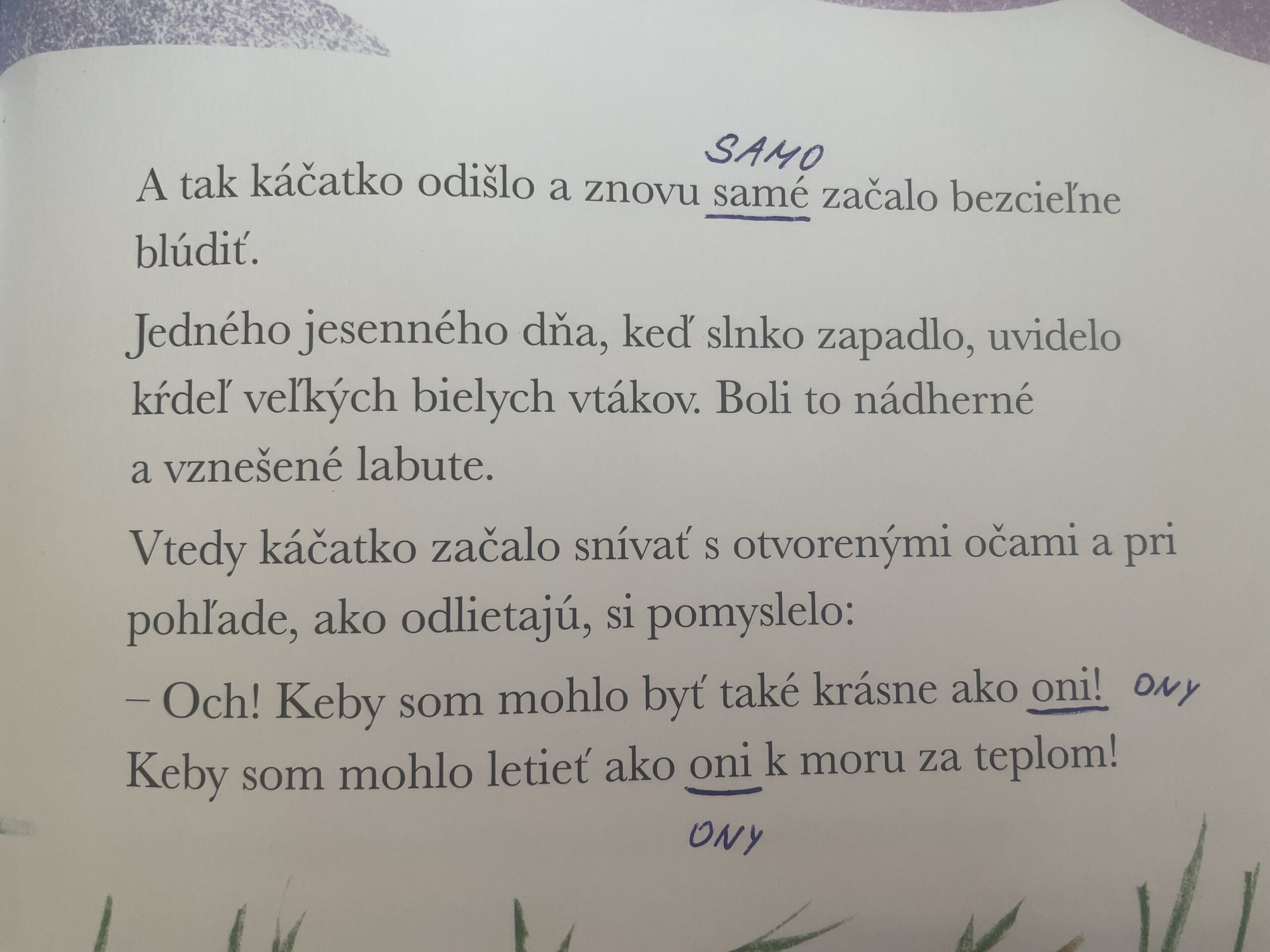kniha knihy chyba
