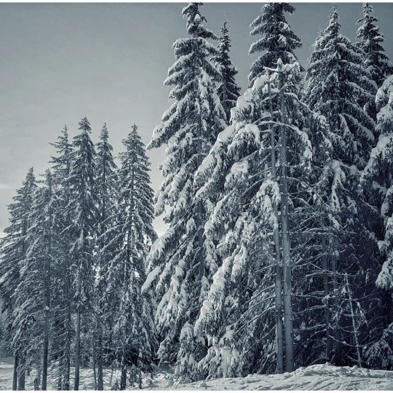 Na území Slovenska je veterno, na hrebeňoch najvyšších hôr dochádza k orkánu
