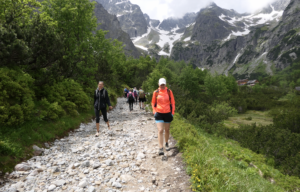 Tatry sú dvadsať rokov po víchrici Alžbeta odolnejšie, scenár by sa nemal zopakovať