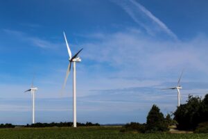 Veterné turbíny na Záhorí? Vedkyňa v tom má jasno – táto lokalita je kvôli vtákom nevhodná