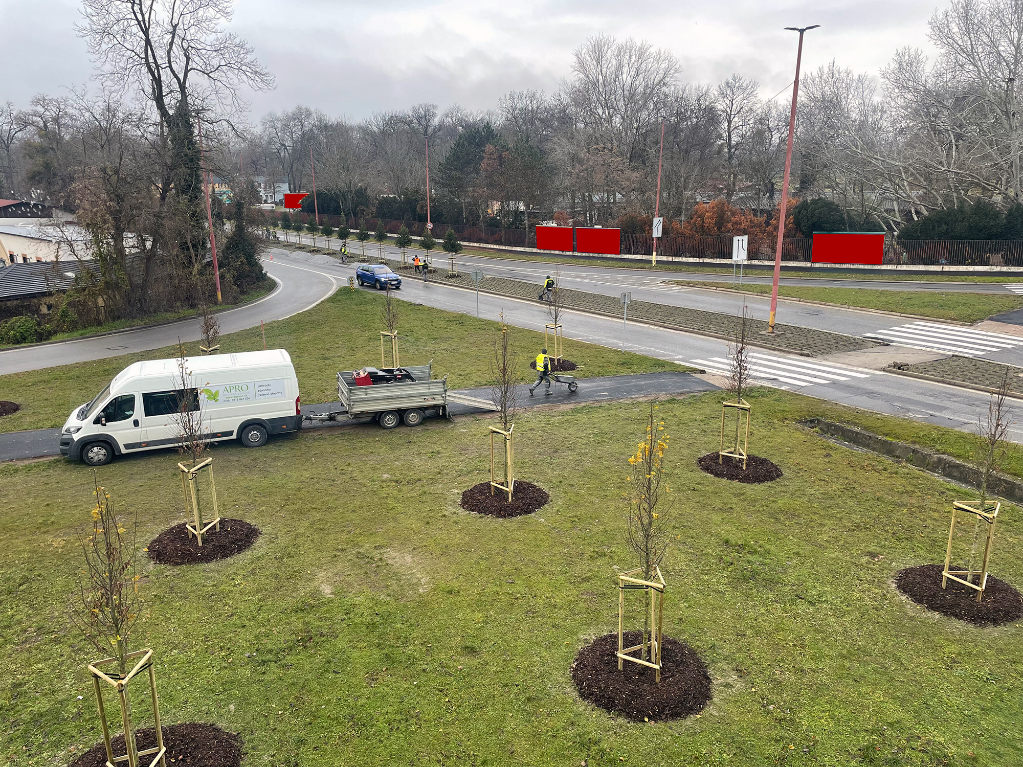 Bratislava sadí stromy