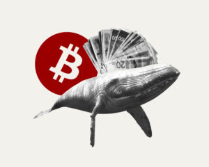 Ako si „veľryby“ našli cestu do Bieleho domu