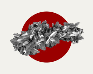 Prečo Made in Slovakia vo svete nič neznamená