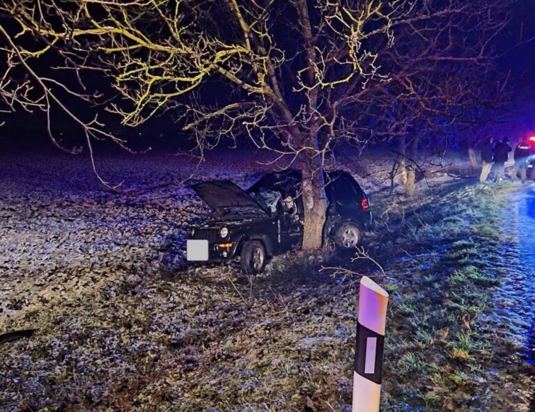 Šoférka neprežila náraz do stromu, jej dieťa hospitalizovali