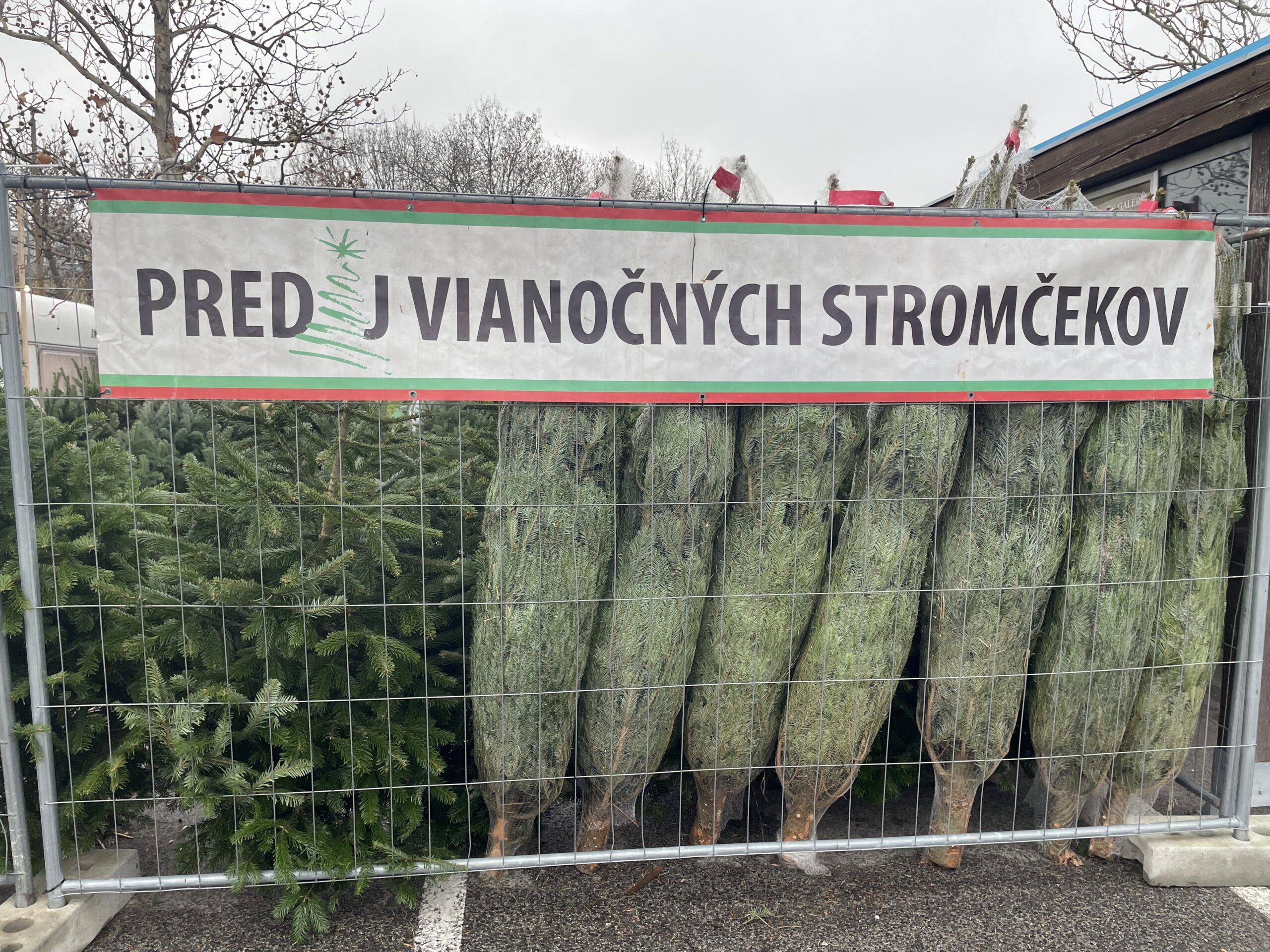 vianoce stromček