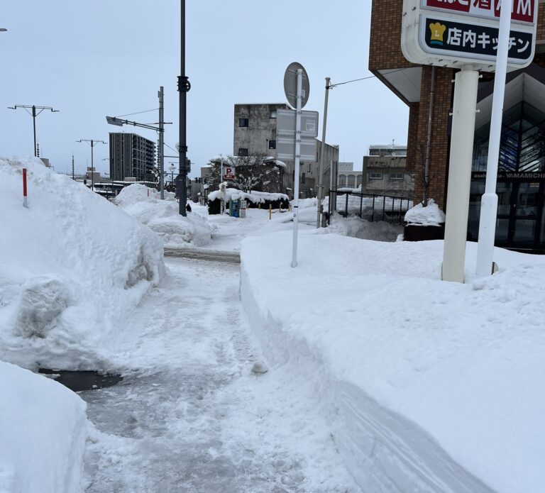 Video: Pre husté sneženie Japonsko ruší lety, tisícky pasažierov slávia Silvester na letisku