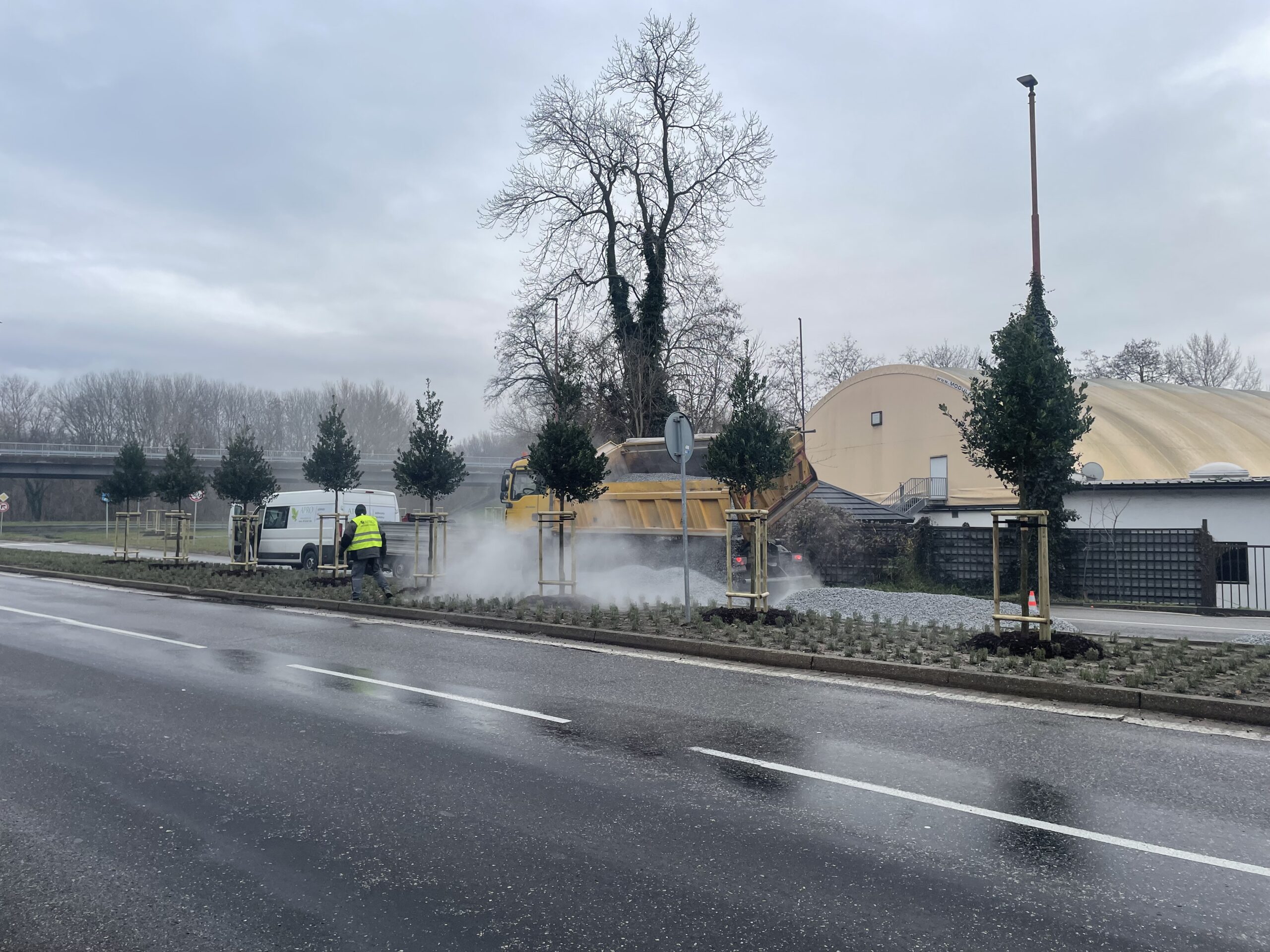 Bratislava sadí stromy