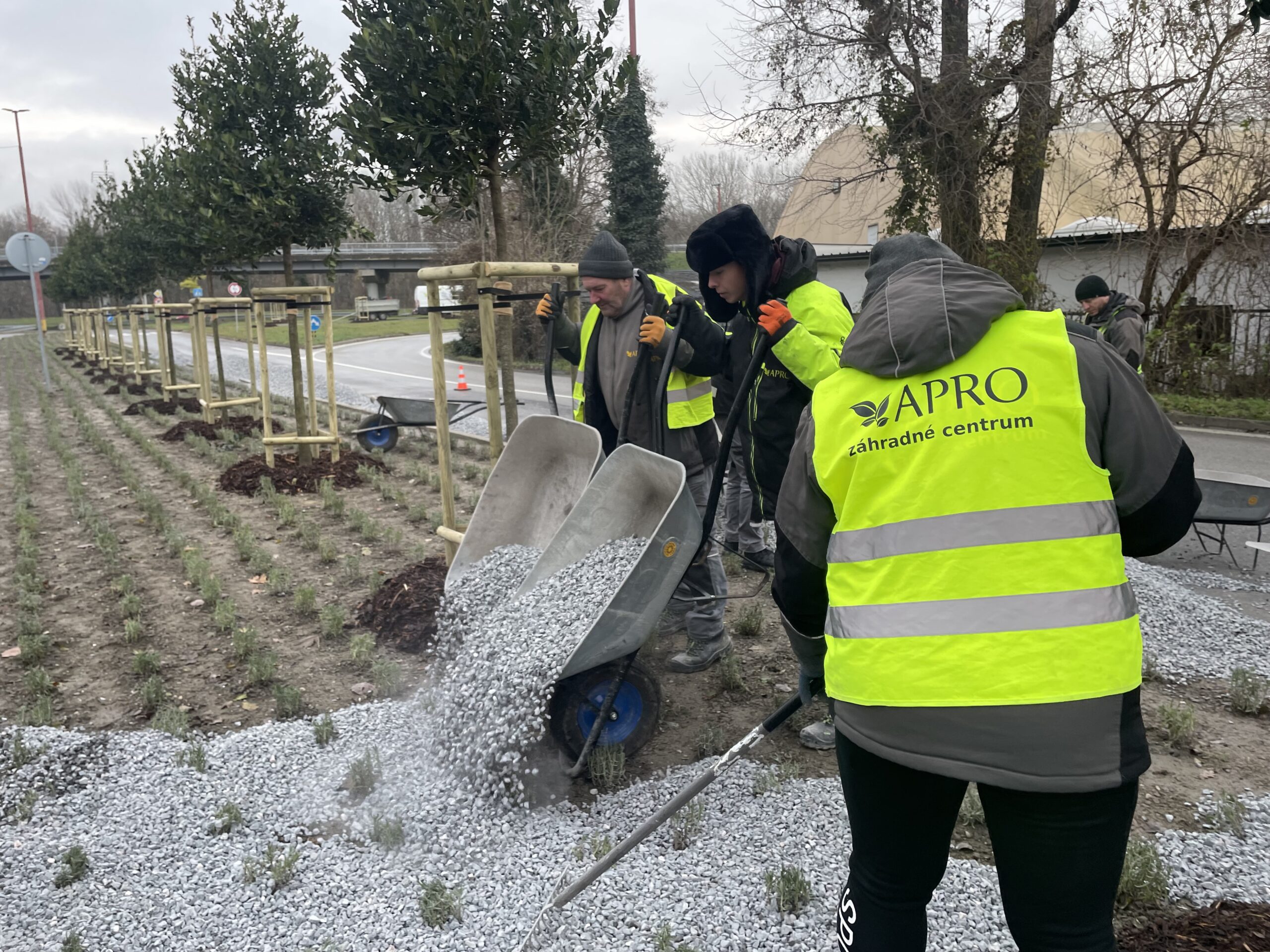 výsadba drevín Bratislava