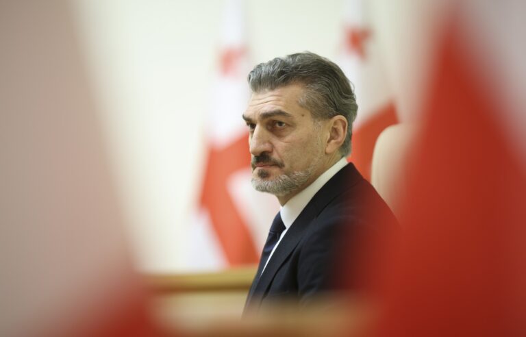 Micheil Kavelašvili. Foto: GEORGIAN PARLIAMENT PRESS SERVICE / HANDOUT / EPA / Profimedia