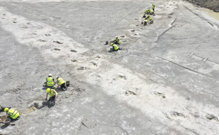 Vo Veľkej Británii objavili takmer 200 dinosaurích stôp