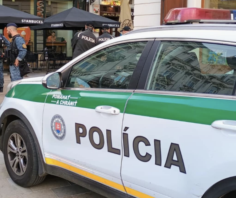 Rodič nechtiac zamkol dieťa v aute počas horúčav, pomohla až polícia