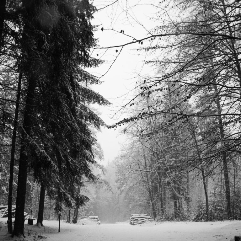 Na severe Slovenska platí 2. stupeň výstrah pred snežením, miestami silnejšie zafúka