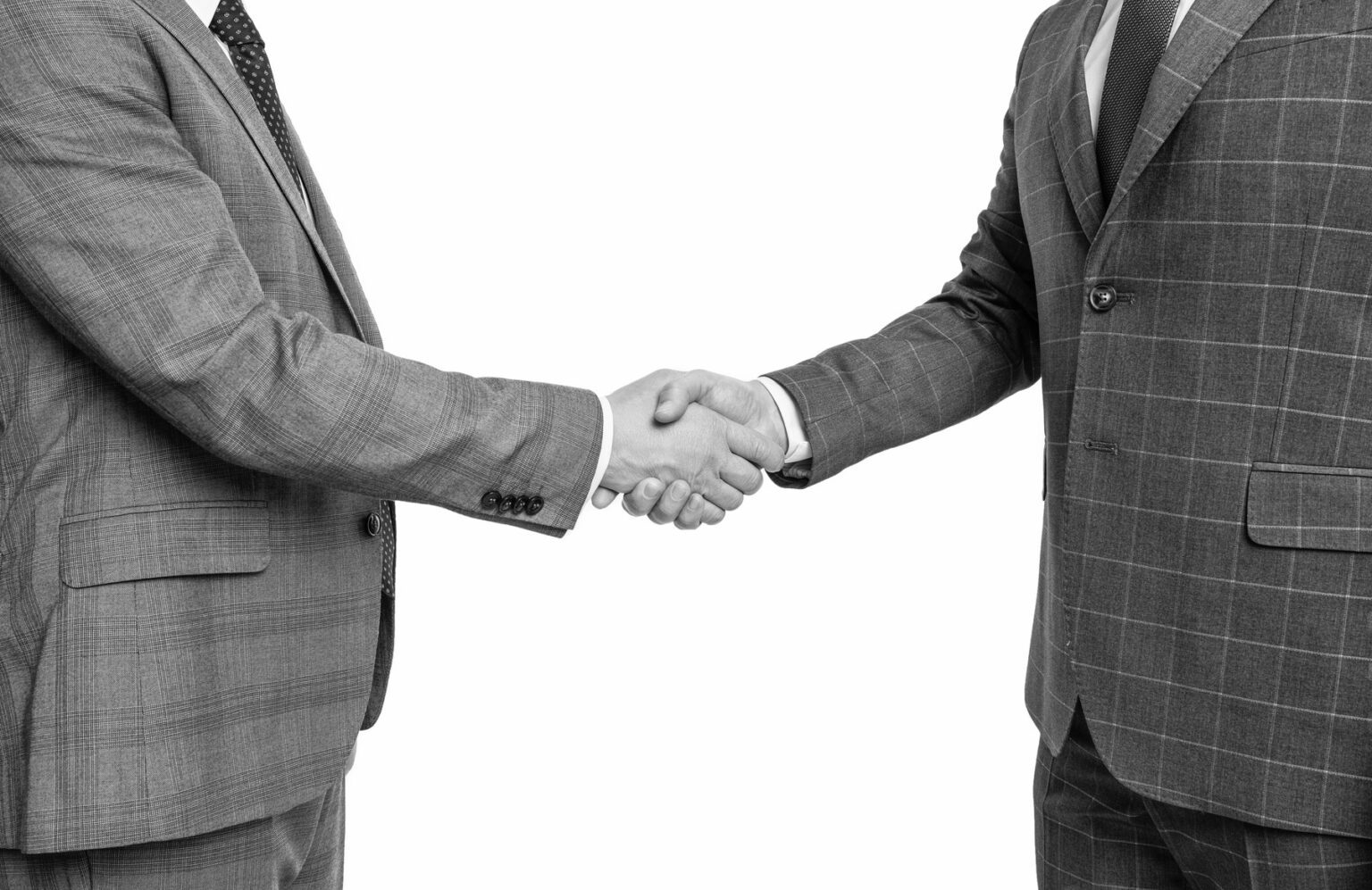 Two businessmen handshaking. Photo: DPphoto / Profimedia