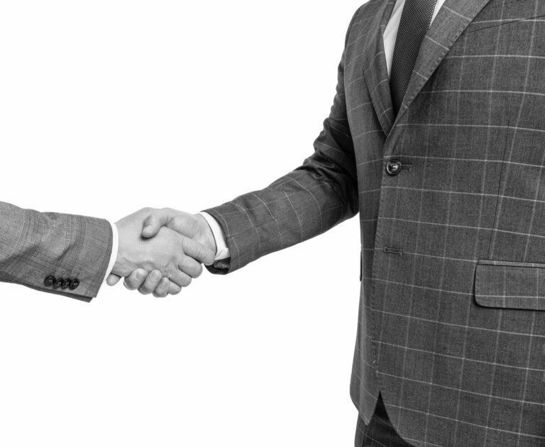 Two businessmen handshaking. Photo: DPphoto / Profimedia