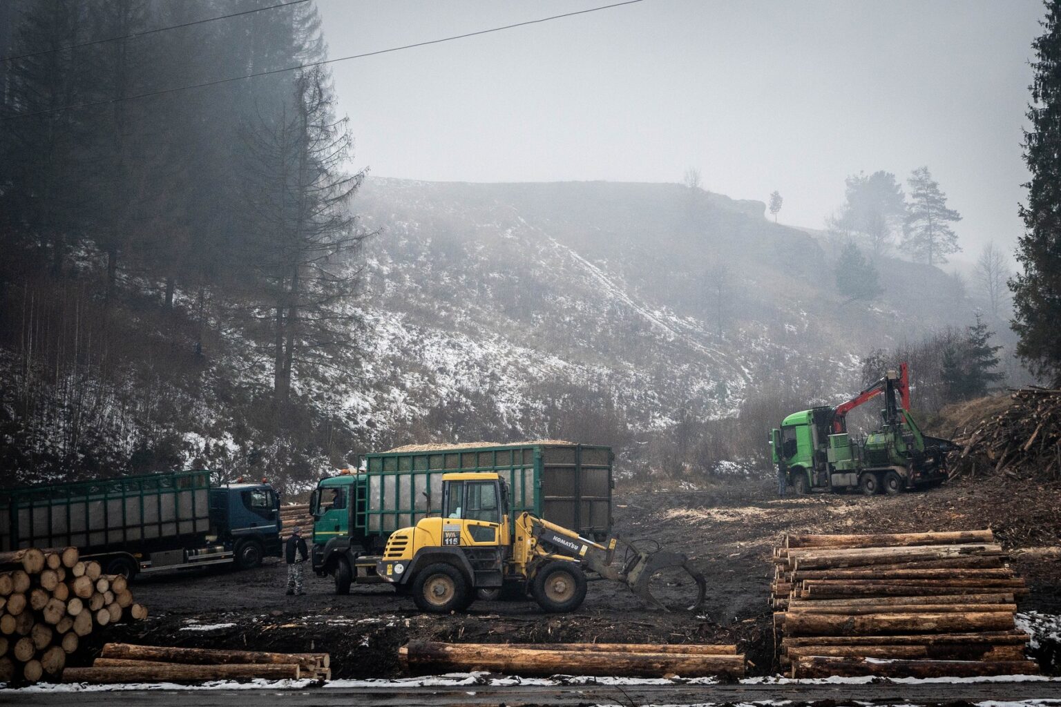 Ťažba dreva v Čiernom Balogu po napadnutí lesov lykožrútom. Foto: Jozef Jakubčo / Petit Press / Profimedia