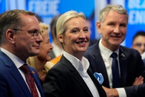 Z Nemecka o Nemecku. Studený úsmev Alice Weidel