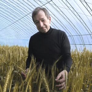 Prečo už ovocie a zelenina nechutia ako kedysi? Teplé zimy menia chuť plodov