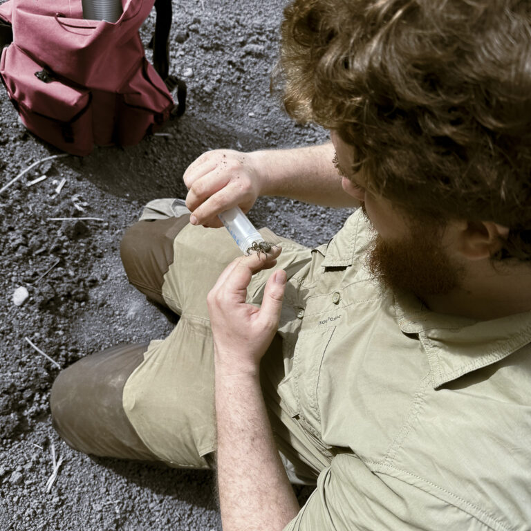 Arachnológ z Ústavu krajinnej ekológie SAV Pavol Purgat. Foto: SAV