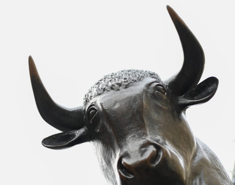 Photo: ČTK / DPA / Arne Dedert