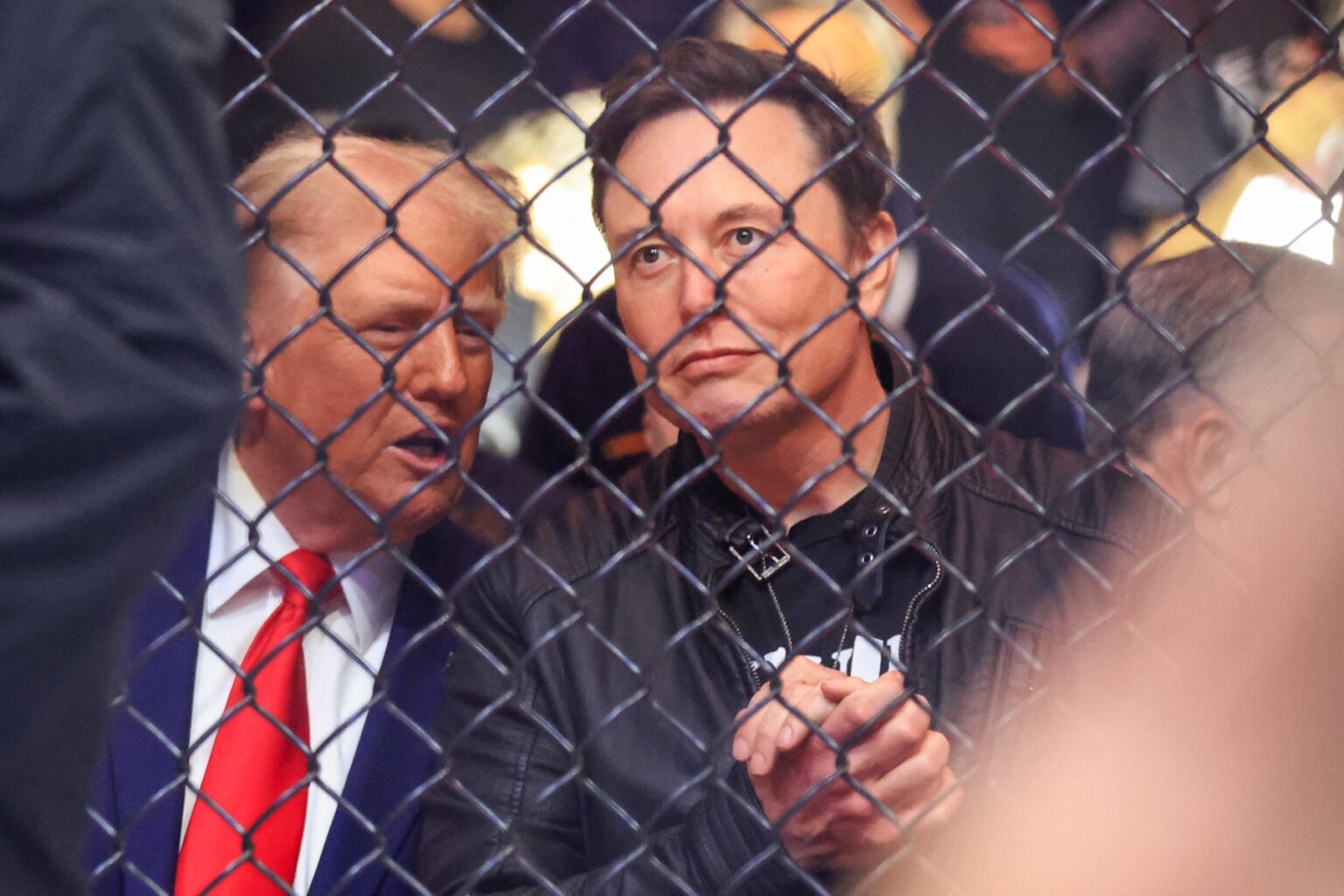Donald Trump a Elon Musk. Foto: Kena Betancur / AFP / AFP / Profimedia
