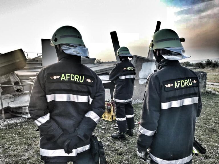 Rakúska armáda príde pomôcť Slovensku v boji so slintačkou a krívačkou