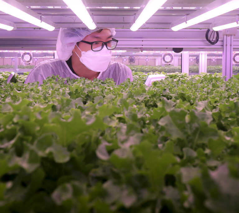 An employee of Farm 8 Co. works at a Metro Farm inside Sangdo metro station. Photo: Chung Sung-Jun / Getty Images