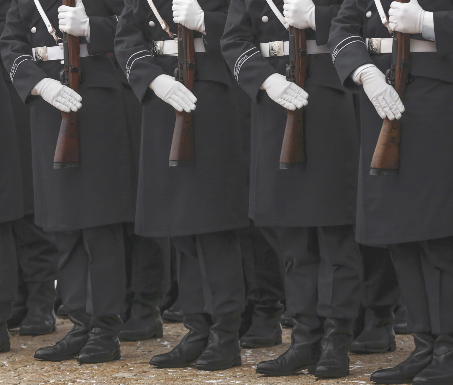 Members of the Wachbataillon. Photo: Adam Berry / Getty Images
