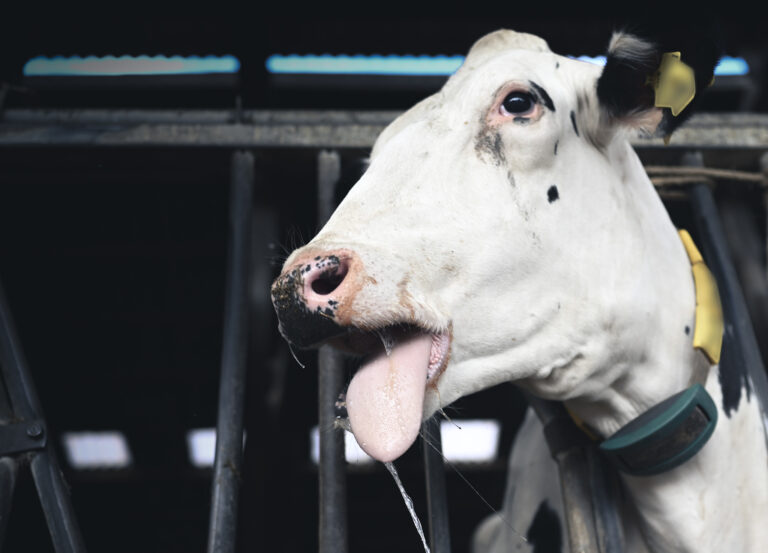 Foto: Lars Penning/picture alliance via Getty Images