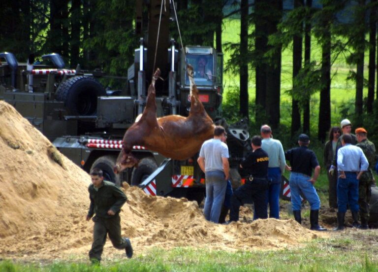 Navážanie uhynutých zvierat do areálu pri Leviciach je definitívne zastavené