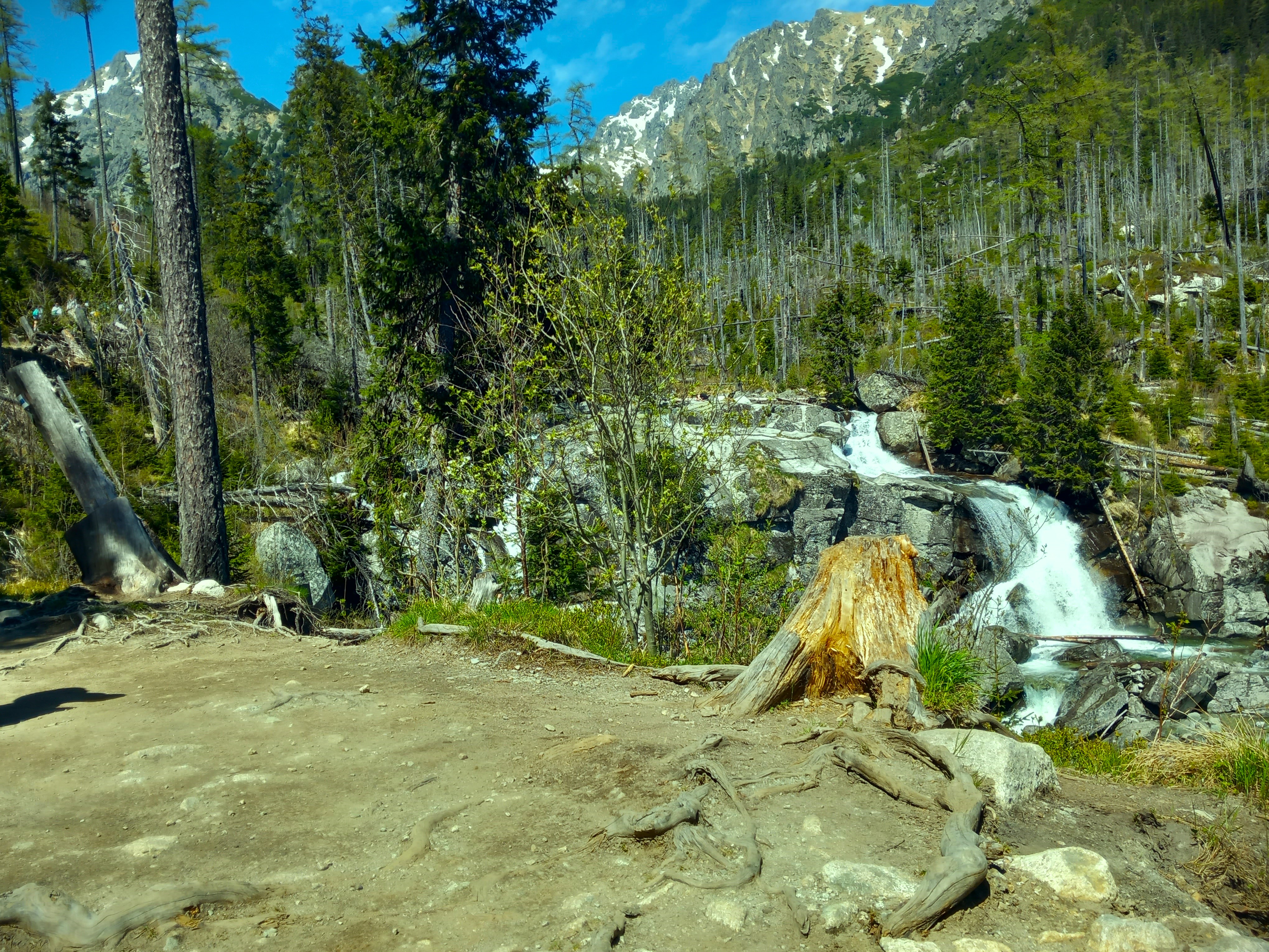 Zonácia TANAP-u vraj znižuje ochranu prírody, prípad putuje na prokuratúru