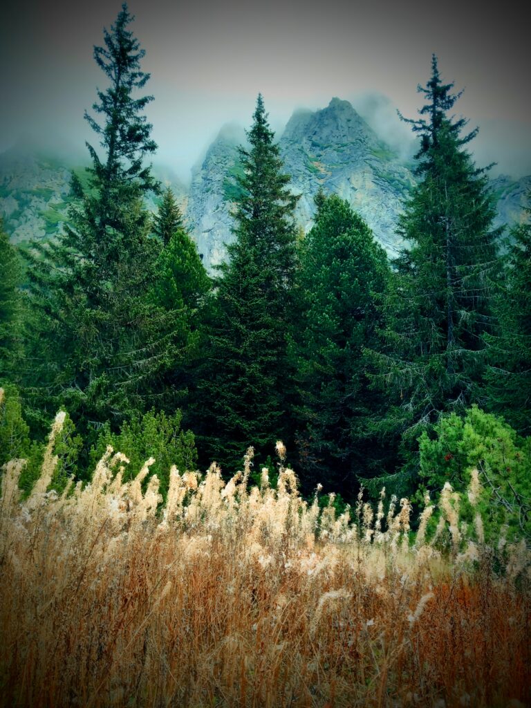 Sezónna uzávera sa vo Vysokých Tatrách skončila, oznámil TANAP