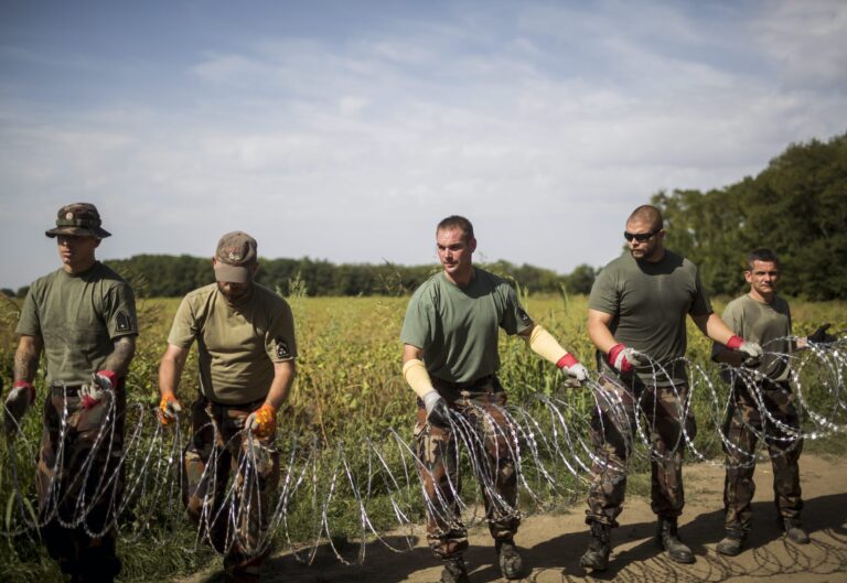 V Maďarsku prepukli nové ohniská slintačky a krívačky, vláda povolá armádu