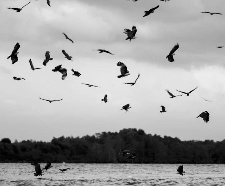 Foto: nitimongkolchai / Getty Images
