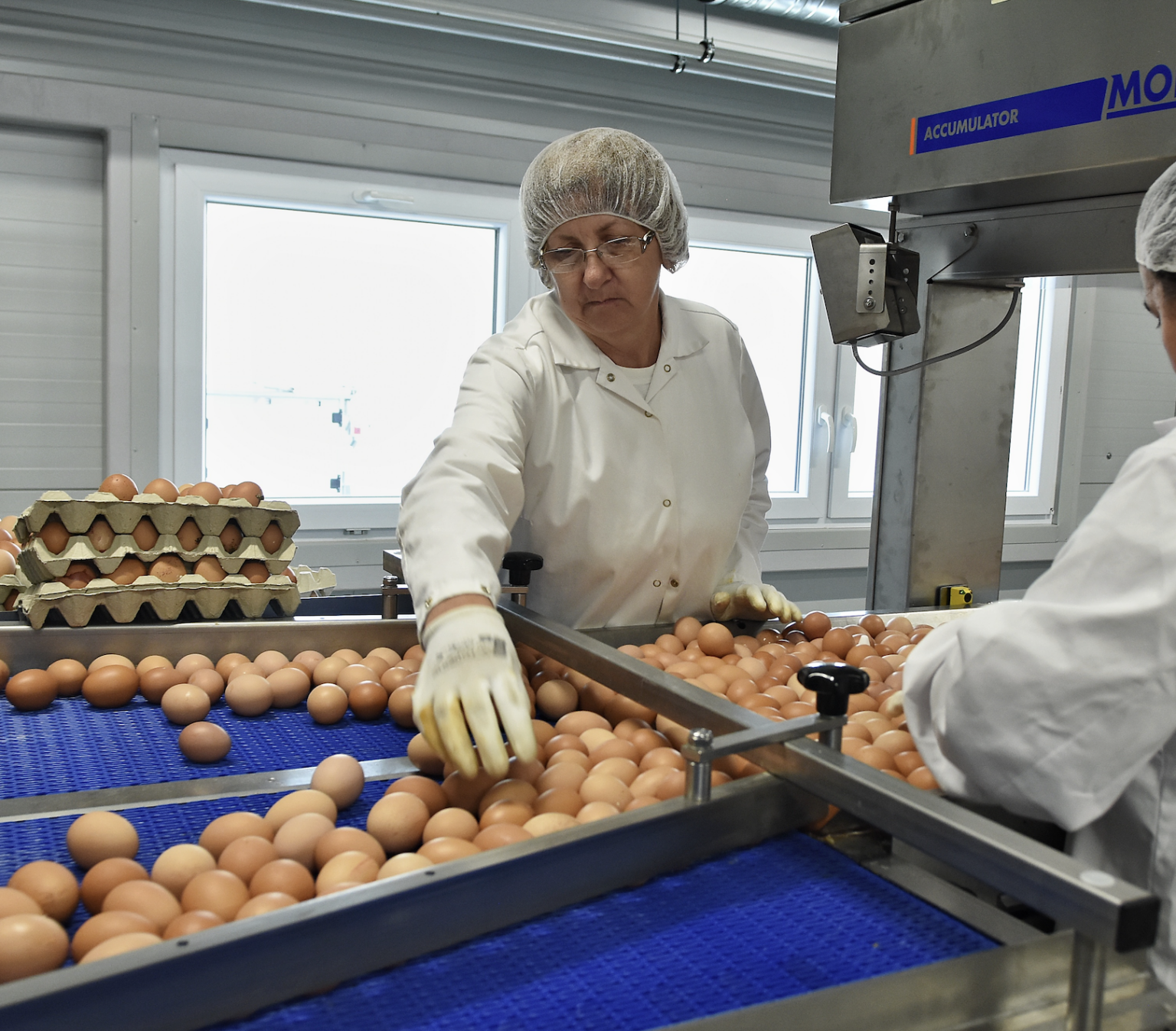 Ilustračná fotografia. Foto: Oliver Ondráš/TASR