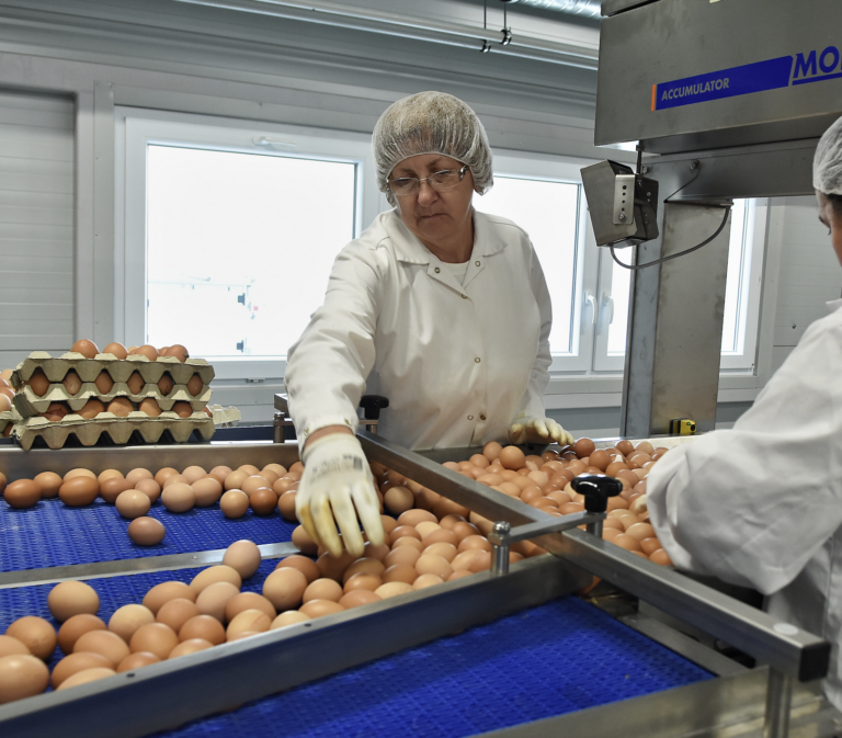 Vývoj cien: vajcia a olejniny zdraželi najviac, priemyselné ceny mierne klesli