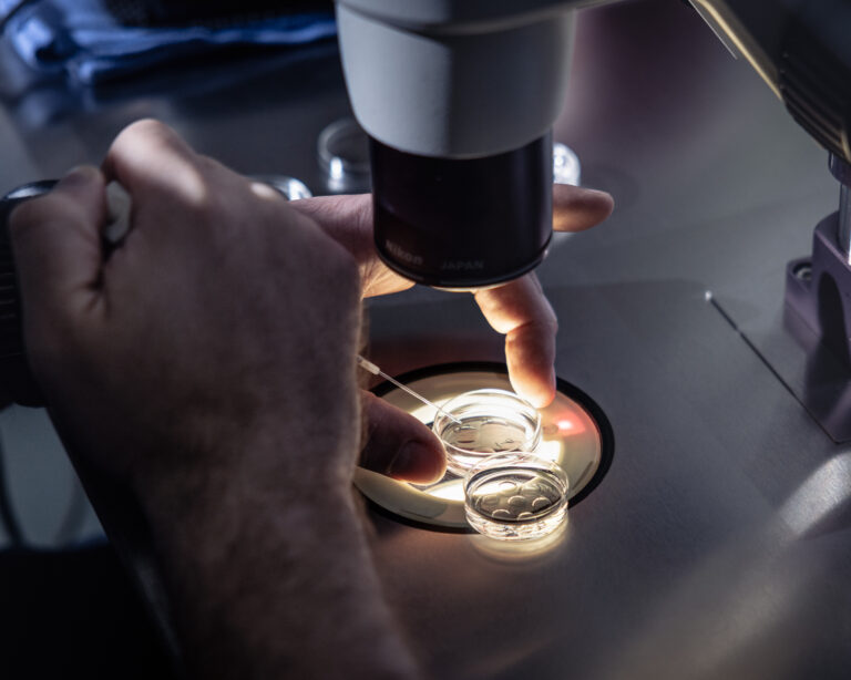 Embryá tesne pred zmrazením. Foto: Jay L. Clendenin pre The Washington Post/Getty Images